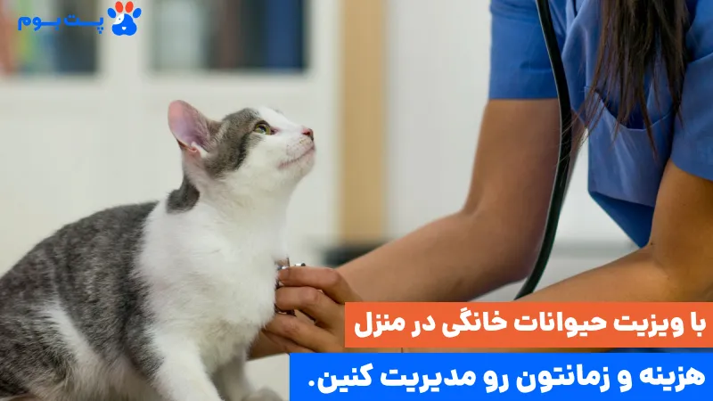 ویزیت دامپزشک در خانه