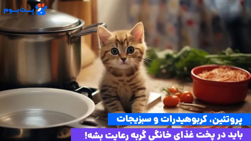 در مصرف کربوهیدرات برای پختن غذای خانگی گربه باید حواستون باشه. به مقدار کافی در کنار پروتئین برای گربه مفیده.