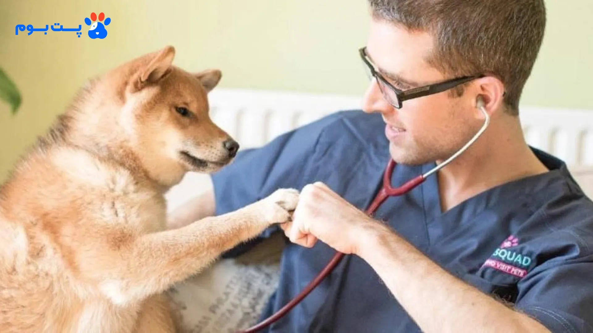 از مزایای ویزیت دامپزشک در خانه و محل می‌توان به درمان سریع و هزینه کمتر اشاره کرد.