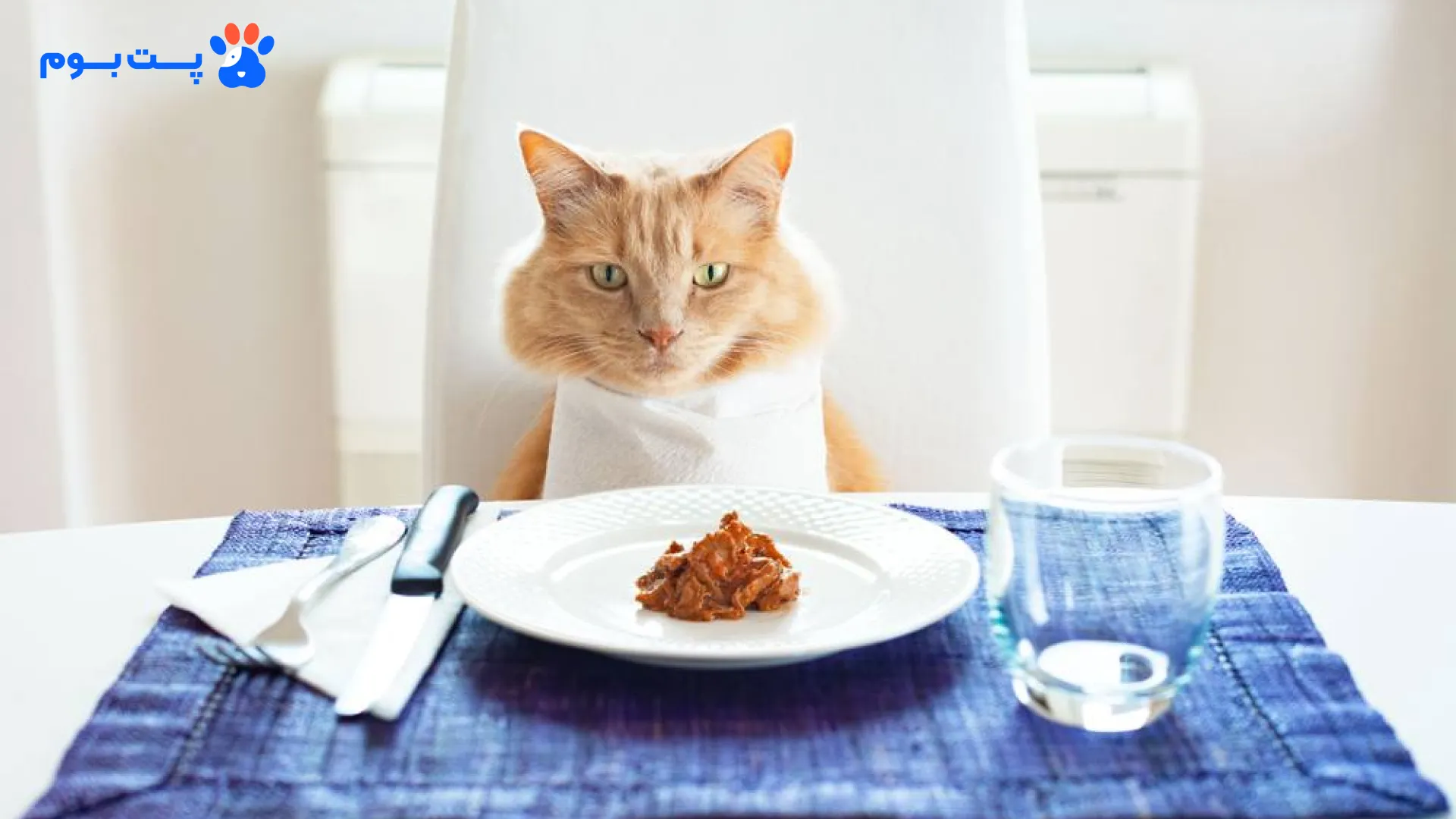 برای پخت غذای خانگی گربه نیاز دارین که از پروتئین و کربوهیدرات در رژیم آن‌ها استفاده کنید.