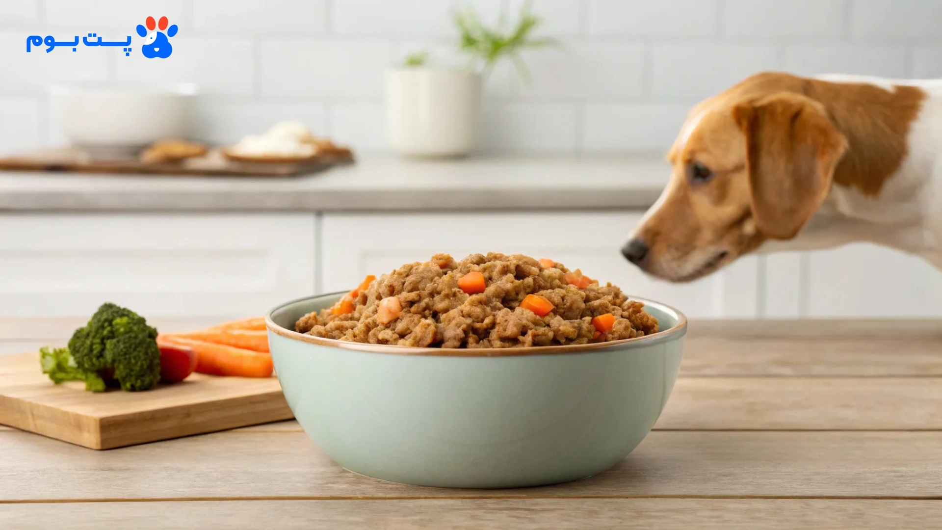 مواد غذایی مجاز برای تهیه غذای سگ مهم است. باید بدانیم چطور با رعایت تعادل پروتئین و ویتامین، به سلامت آن‌ها کمک می‌کنیم.