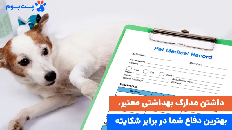 نقش مدارک پزشکی در رعایت قوانین نگهداری پت در آپارتمان و در شهر
