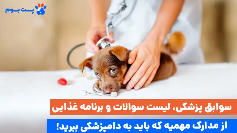 مدارکی که برای ویزیت دامپزشک سگ نیازه مثل سوابق پزشکی یا برنامه غذایی رو از قبل رفتن به کلینیک یا مشاوره آنلاین آماده کنید.