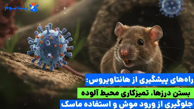 بیماری هانتاویروس