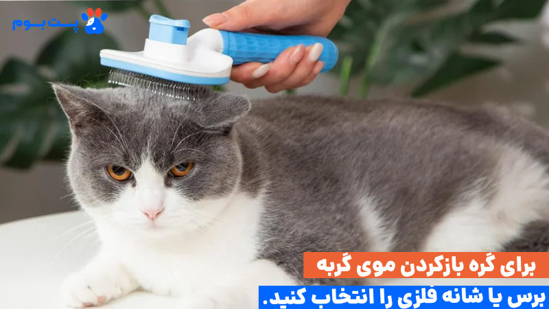 شانه سگ و گربه فلزی یا دندانهدار گرهبازکن حرفهای برای موی پت است.