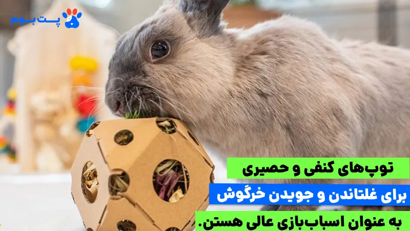 از تونل‌های حصیری یا توپ‌های کنفی و کارتونی برای جویدن تو خرید اسباب بازی برای خرگوش استفاده کنید. 