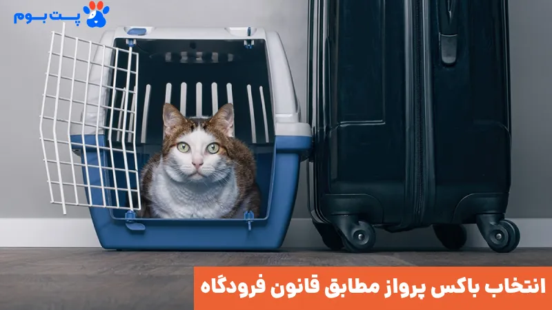 قوانین هواپیما برای سفر با حیوانات خانگی
