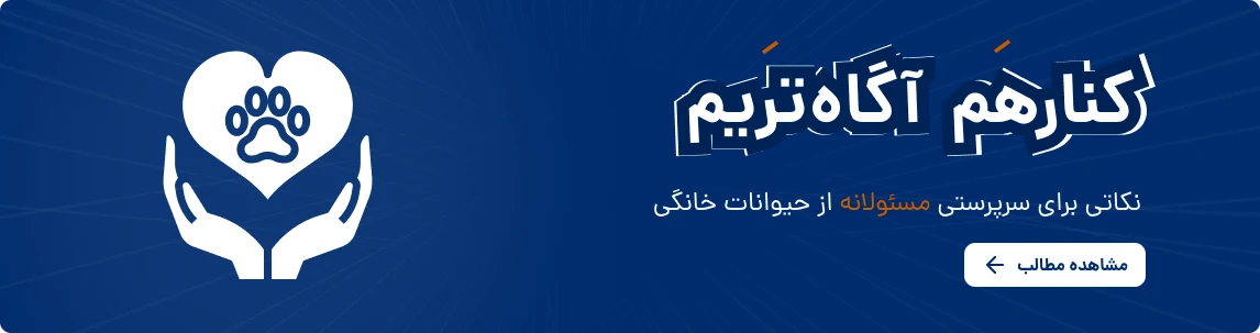 فرهنگ نگهداری از حیوانات خانگی