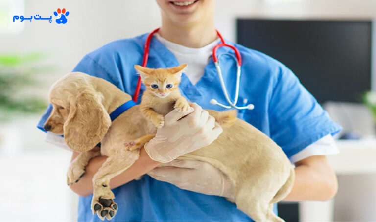 خدمات دامپزشک سیار حیوانات خانگی | مراقبت تخصصی و بدون استرس در منزل