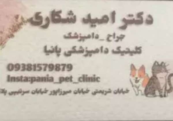 4854