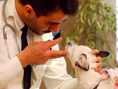 2024123-13-28-53-863