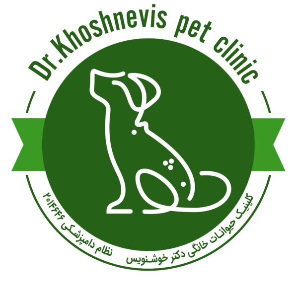 -خوشنویس-لوگو1